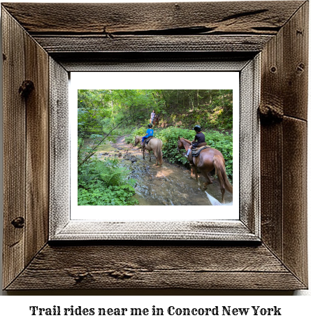 trail rides near me in Concord, New York